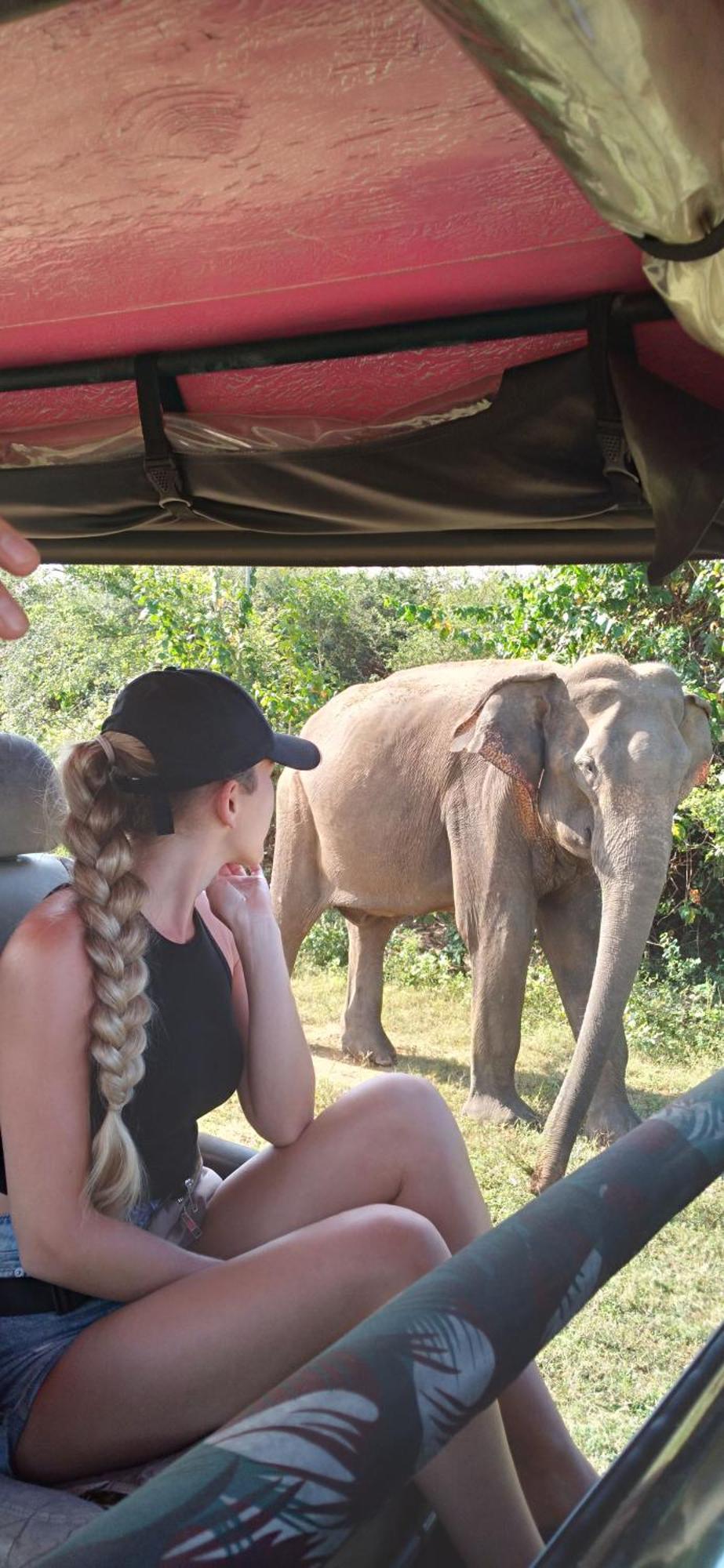 Share Safari House Udawalawe Panzió Kültér fotó