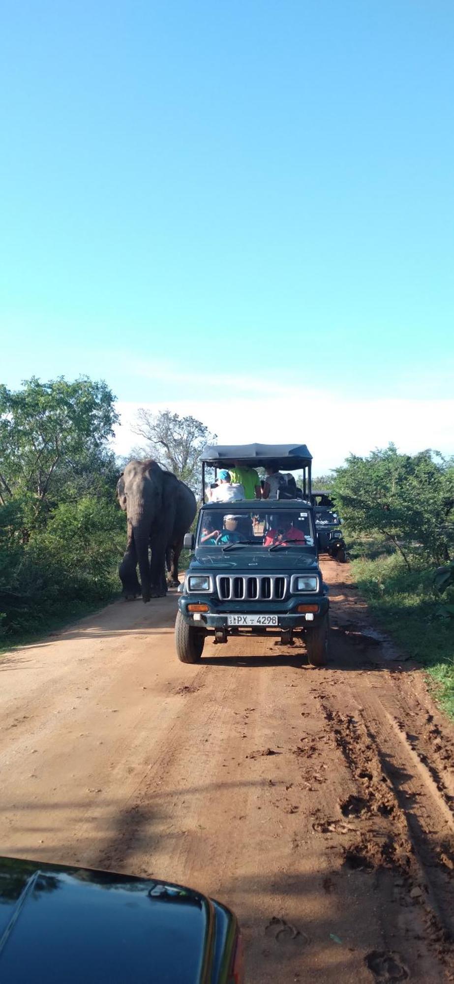 Share Safari House Udawalawe Panzió Kültér fotó