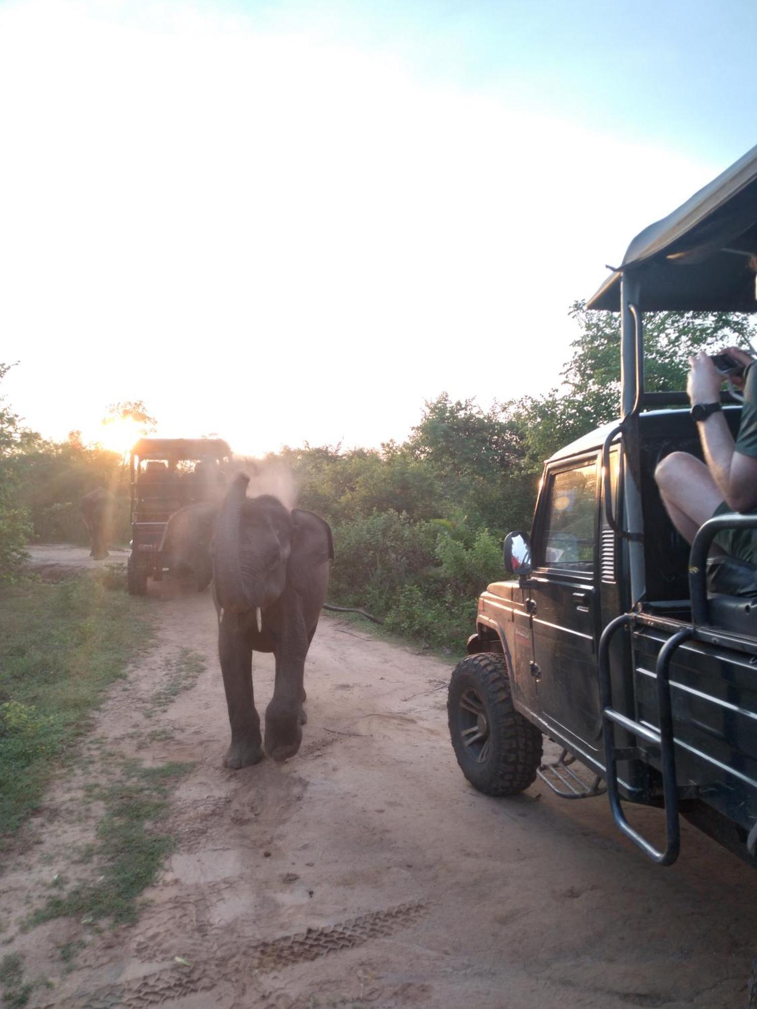 Share Safari House Udawalawe Panzió Kültér fotó